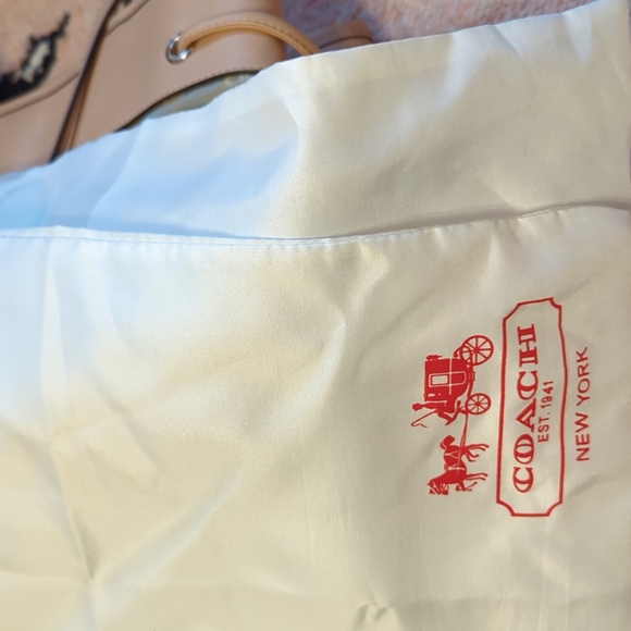 Coach bag🔥🔥🔥 - Picture 9 of 9